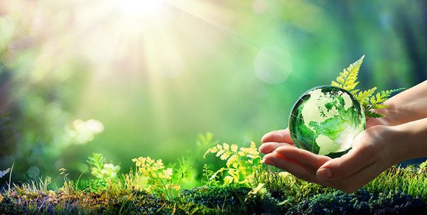 Innovation et respect de l'environnement : les engagements de Natur Innov
